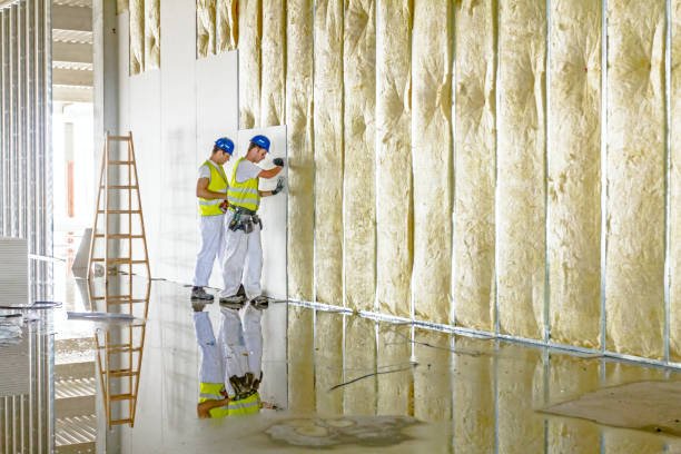 Best Specialized Insulation Services in Hewlett Harbor, NY